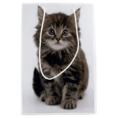 KITTY CAT MEDIUM CADEAUZAKJE (Voorkant)