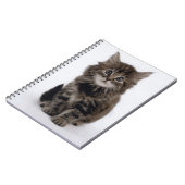 KITTY CAT NOTITIEBOEK (Linkerzijde)