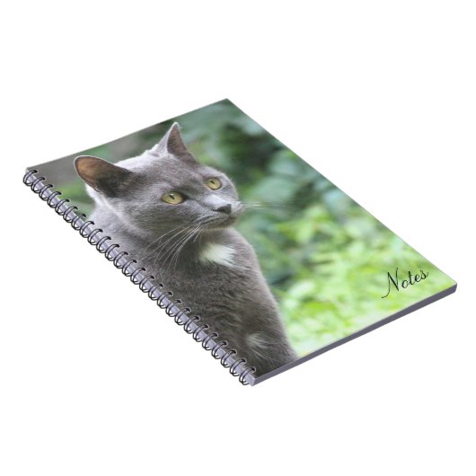 Kitty Cat Notitieboek (Rechterzijde)