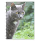 Kitty Cat Notitieboek (Voorkant)