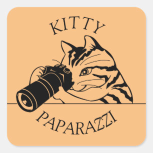 Kitty Cat Paparazzi - Fotograaf Vierkante Sticker