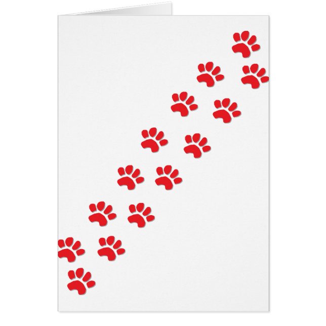 Kitty Cat Paws (Voorkant)