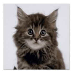 KITTY CAT PERFECT POSTER
