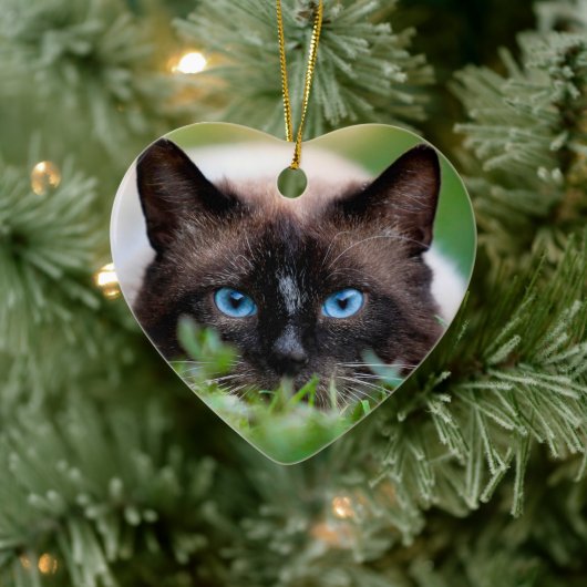 Kitty Cat Pet Memorial met naam en foto Keramisch Ornament (Boom)