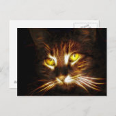 Kitty Cat-postkaart Briefkaart (Voorkant / Achterkant)