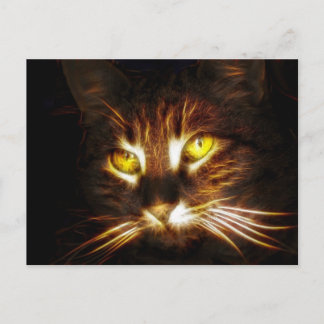 Kitty Cat-postkaart Briefkaart