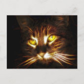 Kitty Cat-postkaart Briefkaart (Voorkant)