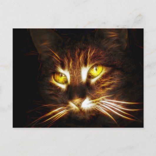 Kitty Cat-postkaart Briefkaart (Voorkant)