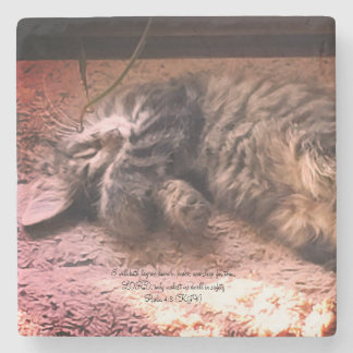 Kitty Cat Psalm 4:8 Stenen Onderzetter