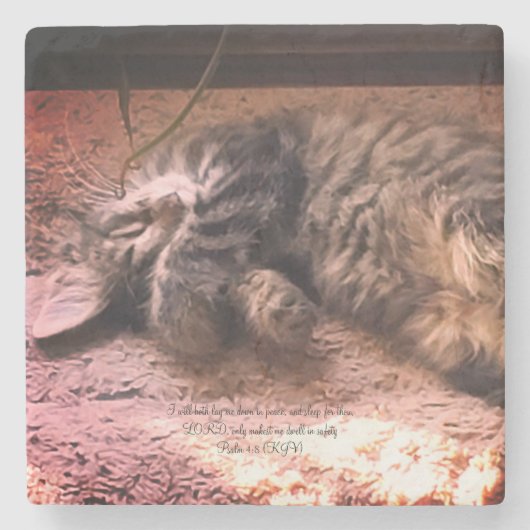 Kitty Cat Psalm 4:8 Stenen Onderzetter (Voorkant)