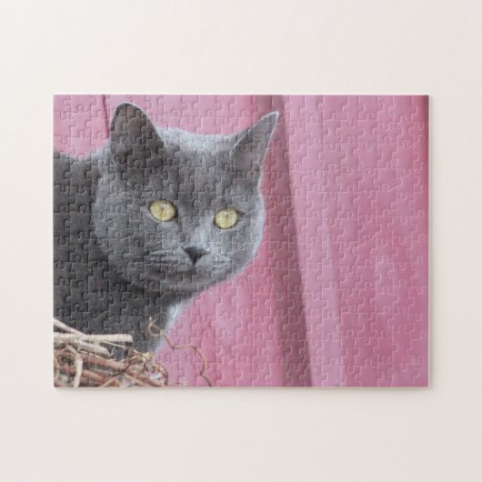 Kitty Cat Puzzle Legpuzzel (Horizontaal)