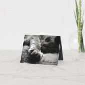 Kitty Cat Valentijnsdag Kaart (Voorkant)