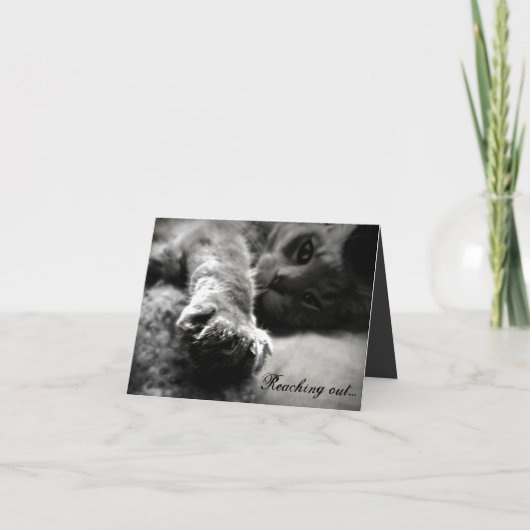 Kitty Cat Valentijnsdag Kaart (Voorkant)