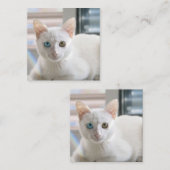 KITTY CAT VIERKANTE VISITEKAARTJE (Voorkant / Achterkant)