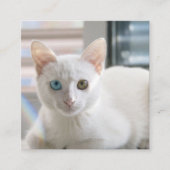 KITTY CAT VIERKANTE VISITEKAARTJE (Voorkant)