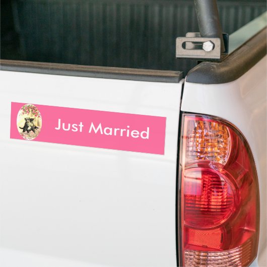 Kitty Cat Wedding Bumpersticker (Op Truck)
