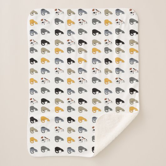 Kitty Cats Bowl Sherpa Deken (Voorkant)