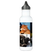 KITTY CATS jug Waterfles (Links)