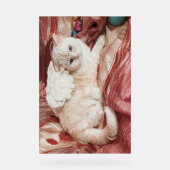 Kitty Engel Acryl Bord (Voorkant)