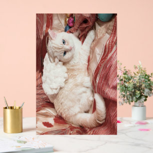 Kitty Engel Acryl Bord