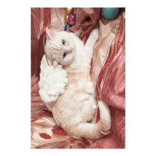 Kitty Engel Foto Afdruk