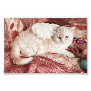 Kitty Engel Foto Afdruk
