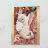 Kitty for Christmas Aankondiging (Voorkant / Achterkant)