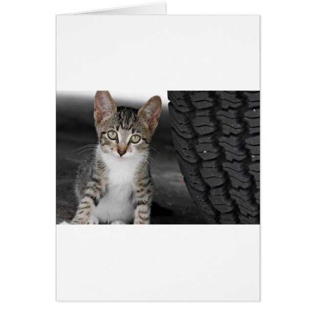 Kitty.JPG (Voorkant)