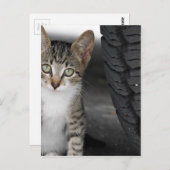 Kitty.JPG Briefkaart (Voorkant / Achterkant)