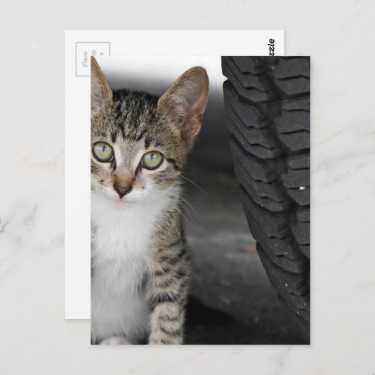 Kitty.JPG Briefkaart (Voorkant / Achterkant)