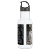 Kitty.JPG Waterfles (Achterkant)