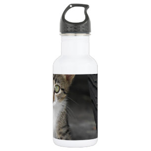 Kitty.JPG Waterfles