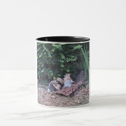 Kitty jungle mok (Midden)