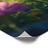 *~* Kitty Kat 5:4 Katachtig Kitten Reikt naar Blo Poster (Hoek)