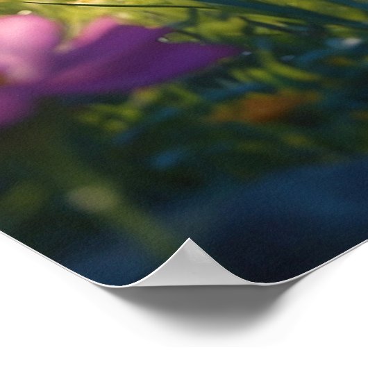 *~* Kitty Kat 5:4 Katachtig Kitten Reikt naar Blo Poster (Hoek)