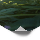 *~* Kitty kat 5:4 katje kitten zwart Tuxedo Poster (Hoek)