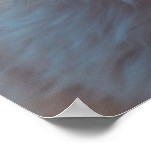 *~* Kitty Kat 5:4 Kitten Witte Lange Haren Fluff Poster (Hoek)