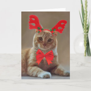 Kitty Kat Rendier Kerstmis Feestdagen Kaart