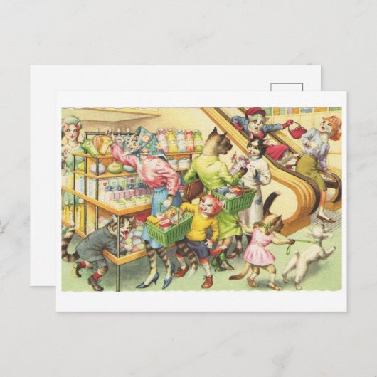 Kitty Katten in een supermarkt, Katten in kleding Briefkaart (Voorkant / Achterkant)