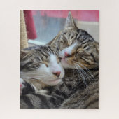 Kitty knuffels! legpuzzel (Verticaal)