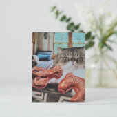 Kitty Met Kreeft en Vis Collage Briefkaart (Staand voorkant)
