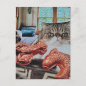 Kitty Met Kreeft en Vis Collage Briefkaart (Voorkant)
