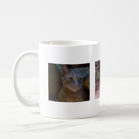 Kitty Mok (Links)