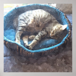 Kitty neemt een dutje, Aquarel Tabby Kat Slaap Poster