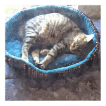 Kitty neemt een dutje, Aquarel Tabby Kat Slaap
