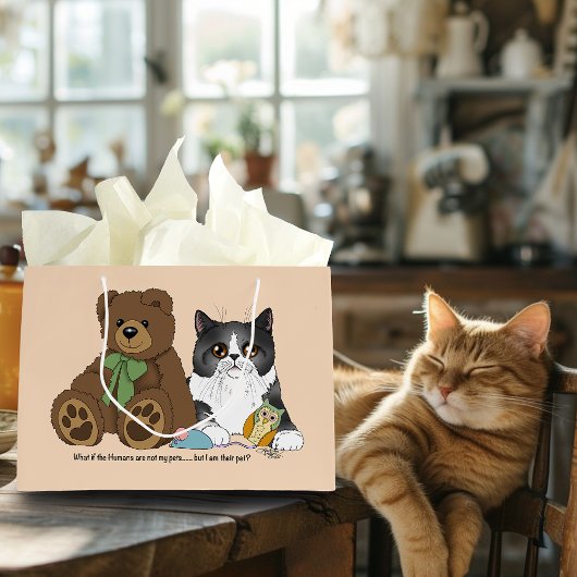 Kitty Not Pet Groot Cadeauzakje