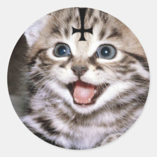 kitty ronde sticker