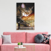 Kitty Slaap Boek Canvas Afdruk (Insitu (Woonkamer))