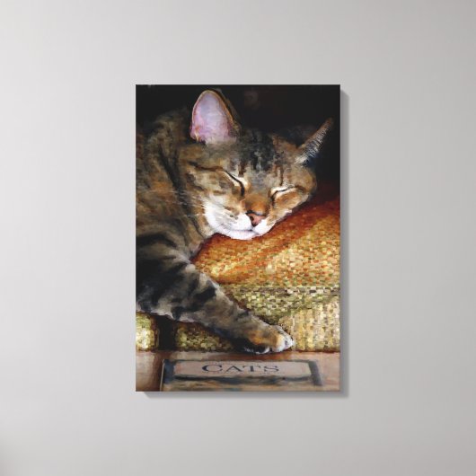 Kitty Slaap Boek Canvas Afdruk (Voorkant)