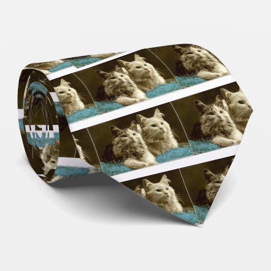 Kitty Stropdas (Opgerold)